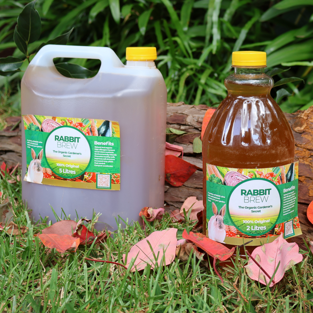 Zvizegwe Organic Rabbit Brew